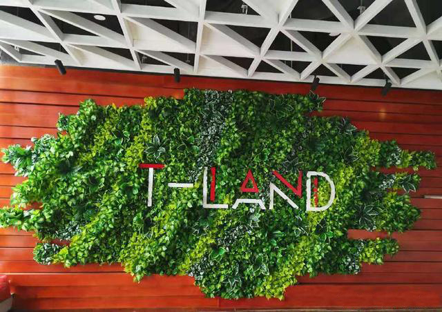 ����ֲ�ﾰ�^��