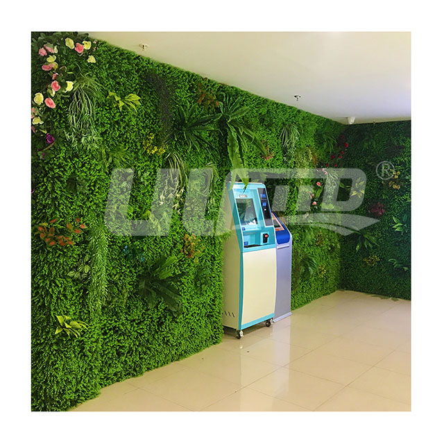 ����G������ƺ