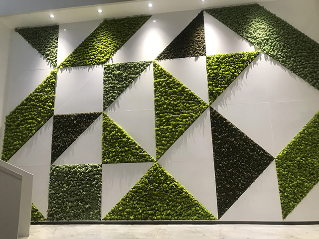 �҃ȉ���ֲ���b�