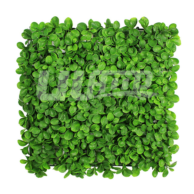 ����ֲ�����