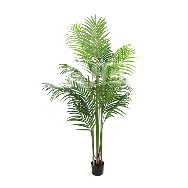 ����С���Ԙ�ɢβ��