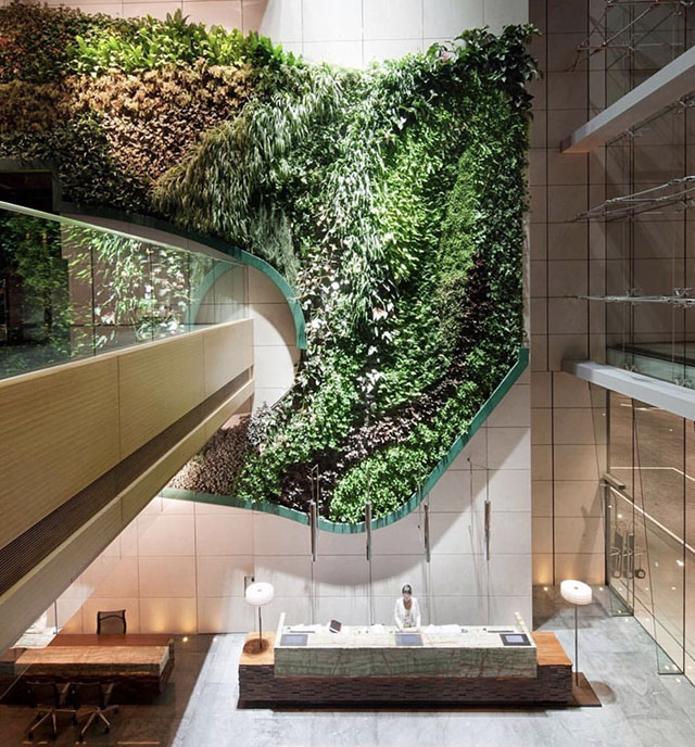 �Ƶ���÷���ֲ�