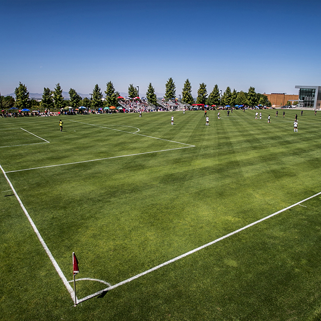 ����������ƺ�����S��