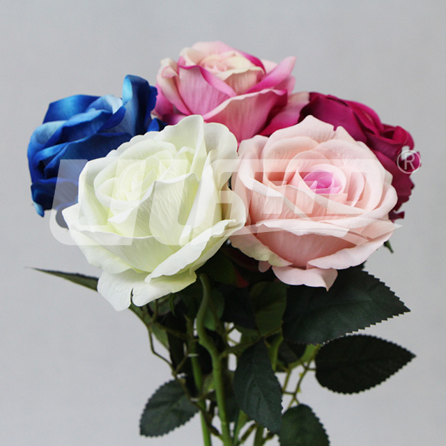 ���滨��õ�塢�tõ�塢�{õ��