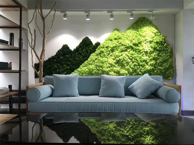 ̦�\ֲ�Ч���D