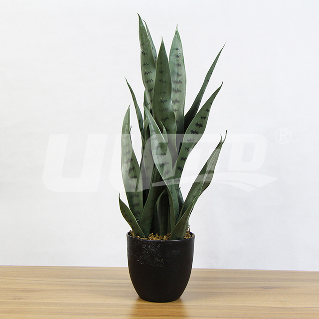 ���滢β�mС����