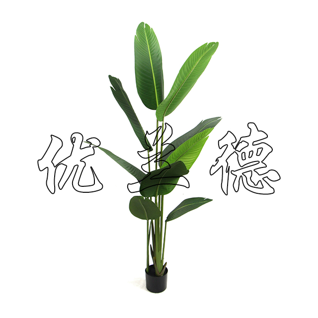 ����С���Ԙ����˽�