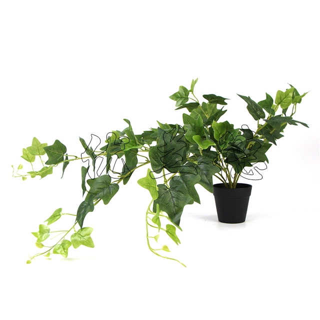 ����GֲС����