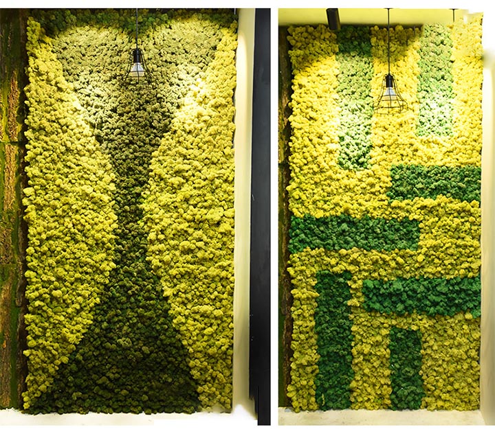 ����̦�\ֲ��OӋ����