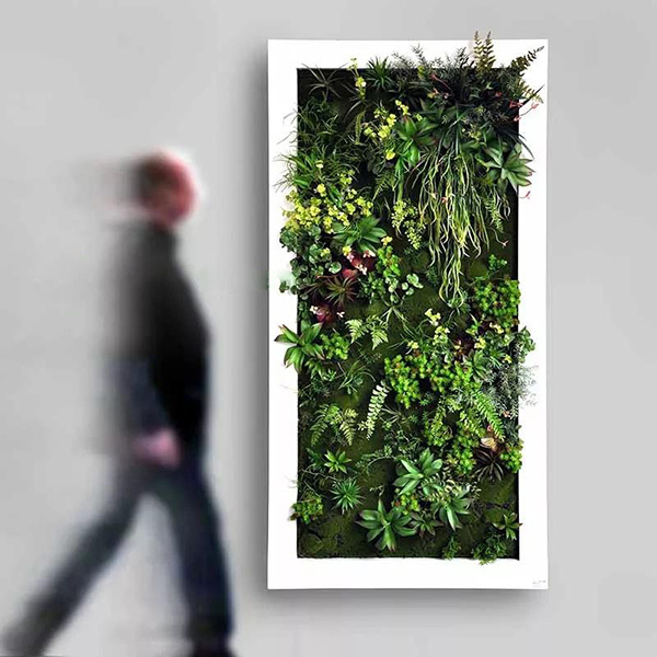 �ڒ�������ֲ��Ӷ���