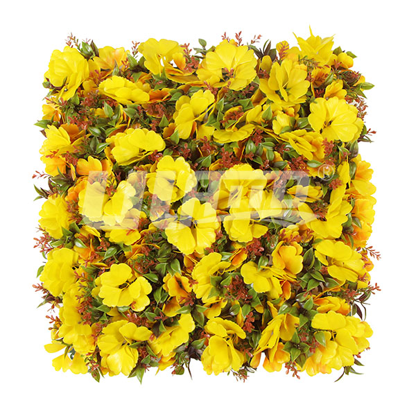 ����ֲ��A106