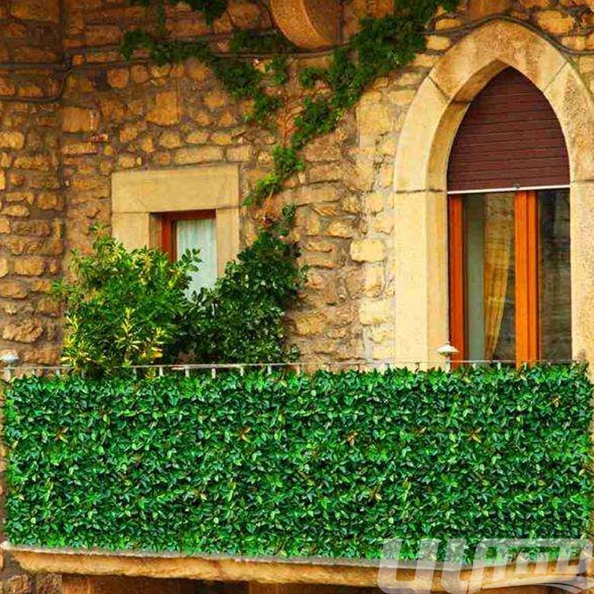 ��_����Gֲ��