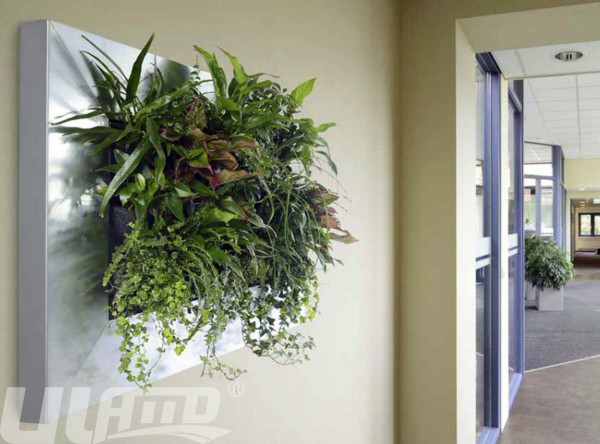 ����Gֲ�ڒ�