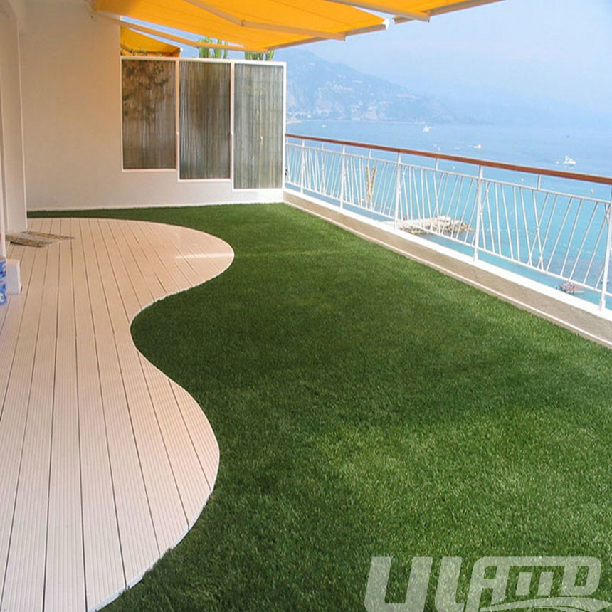 ��_(t��i)�����ƺ