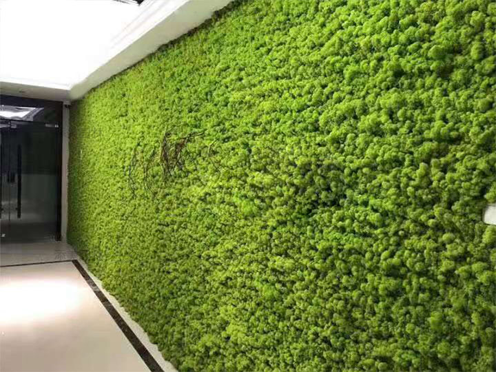 �k��������̦�\��