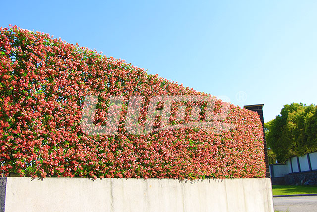 �Gֲ����������ω��