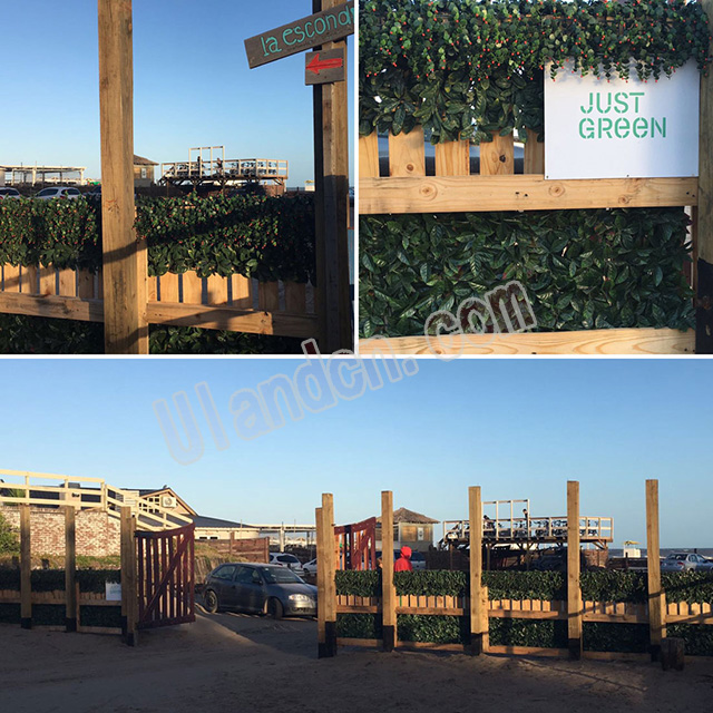 ����������ķ���ֲ��