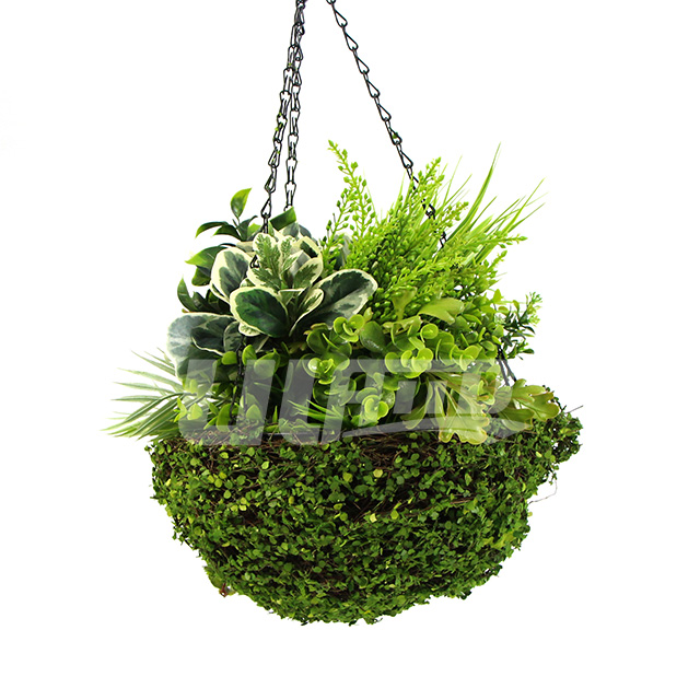 ����ֲ����@