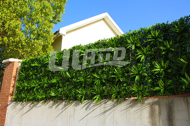 ����ֲ��h�ʉ�