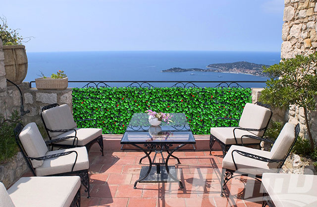 ��_����ֲ�