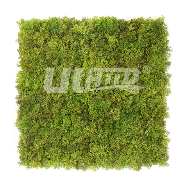 Ƭ�����ֲ��A123