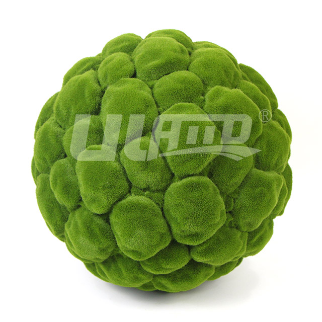 ����̦�\ֲ����