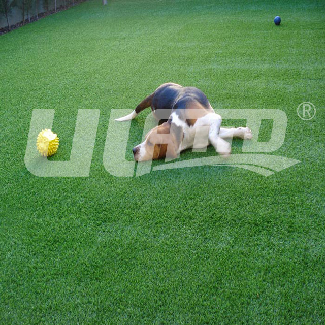 �����ƺ�S���ļҺ�