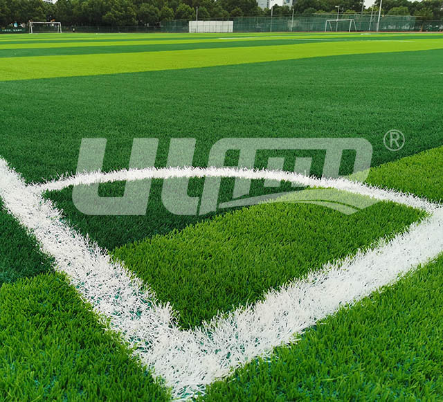 �����ƺ�S�o���B��4�N����