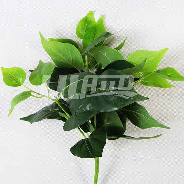 �������ֲ��D071