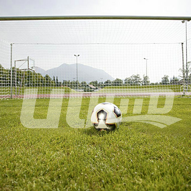 ������ȼ�����ƺ