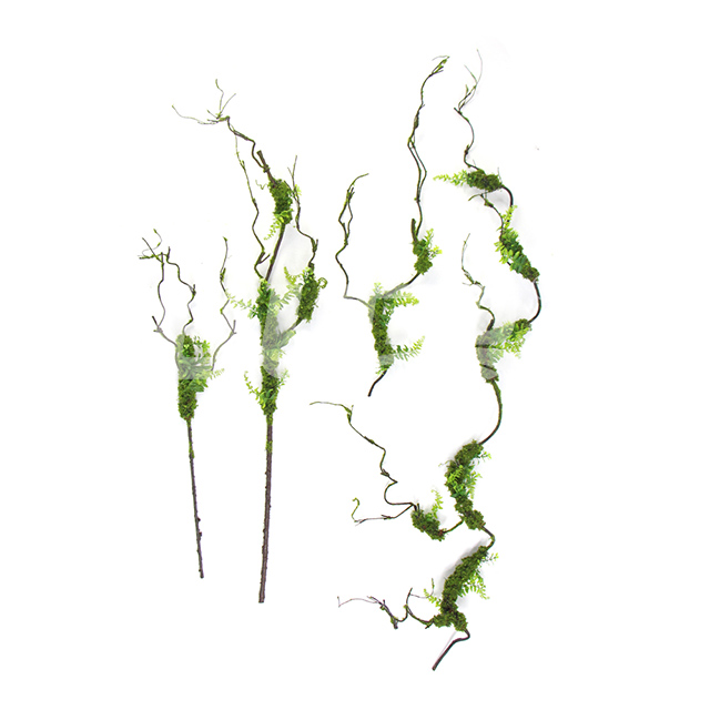 ��ѿ�ɗl����