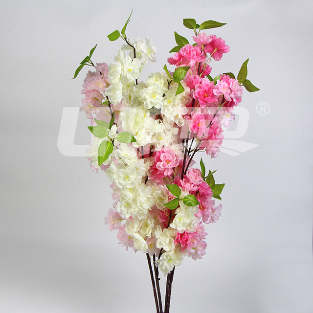 ���潁�����ѻ�