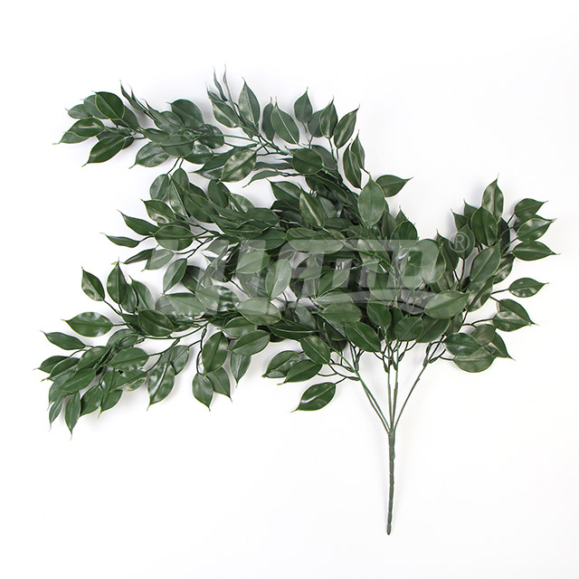 ���w����ֲ��BG047