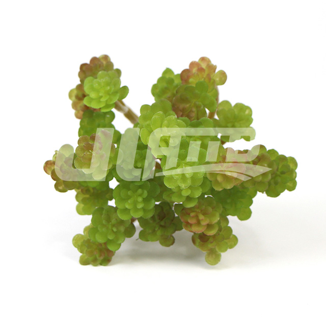 ����ֲ��ٶ���