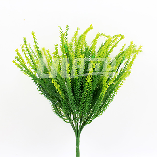 ����ֲ��ʯ��