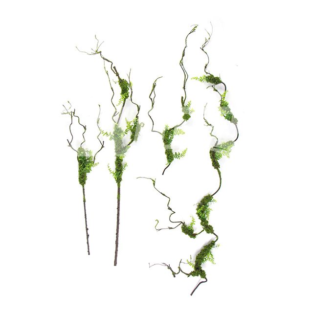 �����ѿ�ɗl�L��