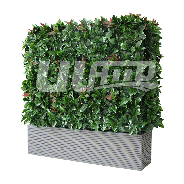 ���Ϸ���ֲ�����L