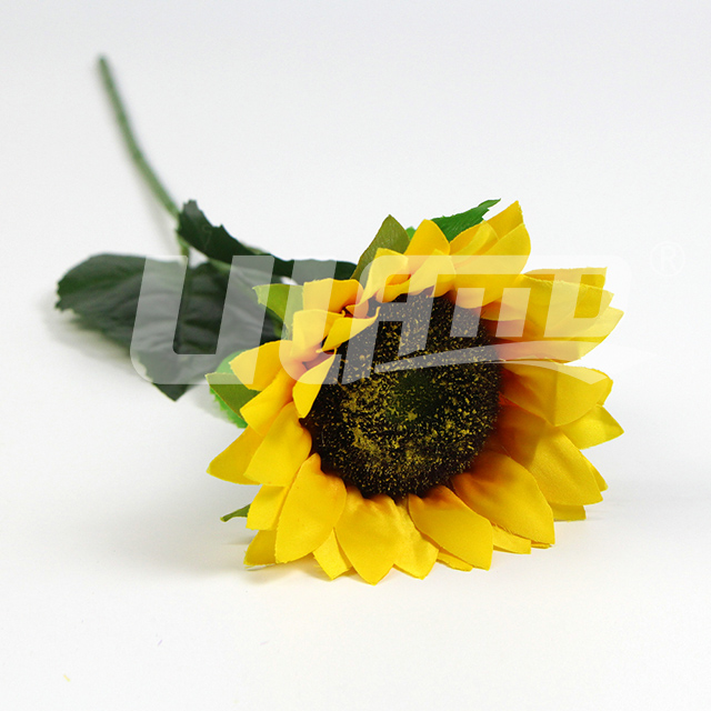 �������ֲ�����տ�