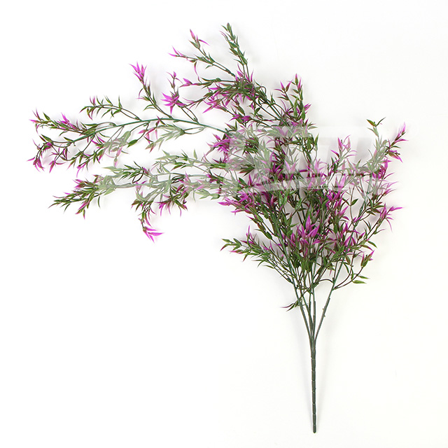 ����ֲ��BG052