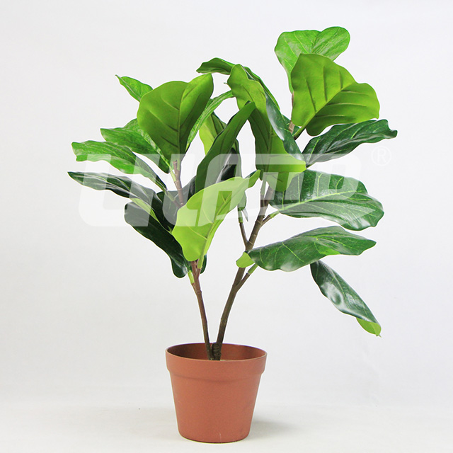 ��������ֲ�����~��