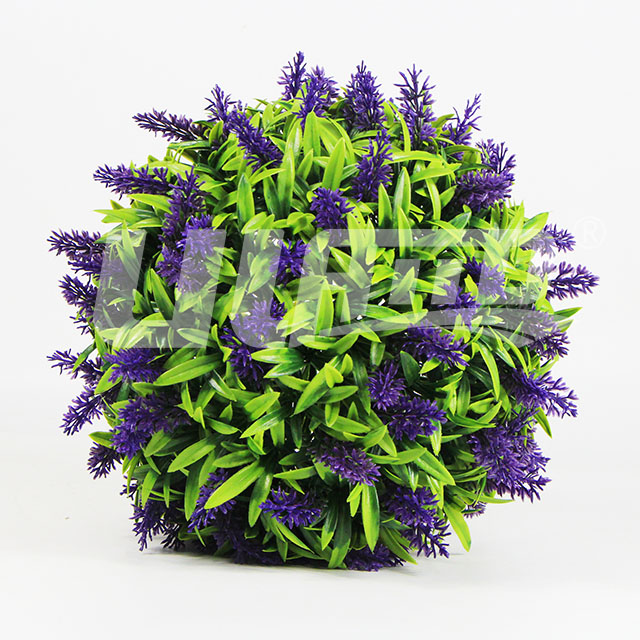 ����ֲ��޹�²���