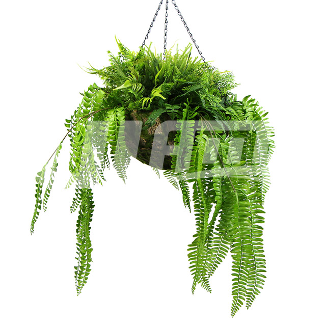 ����Gֲ���@