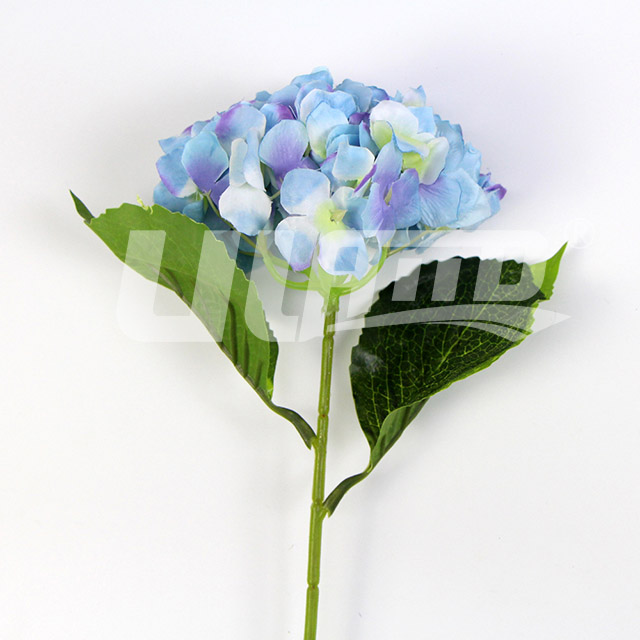 ���潁����