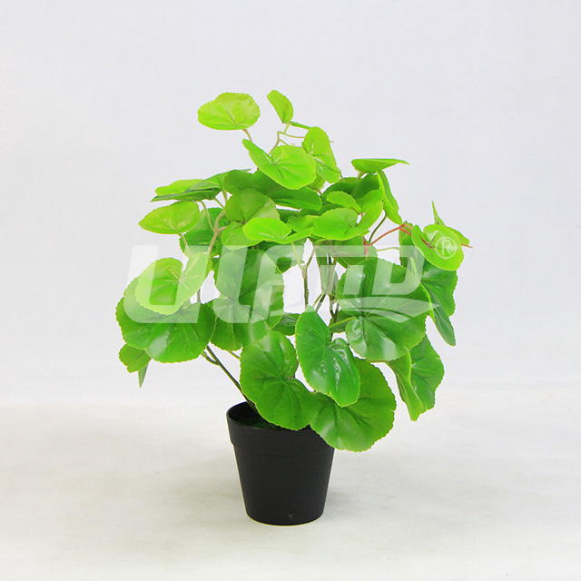 ����С���ԾG����