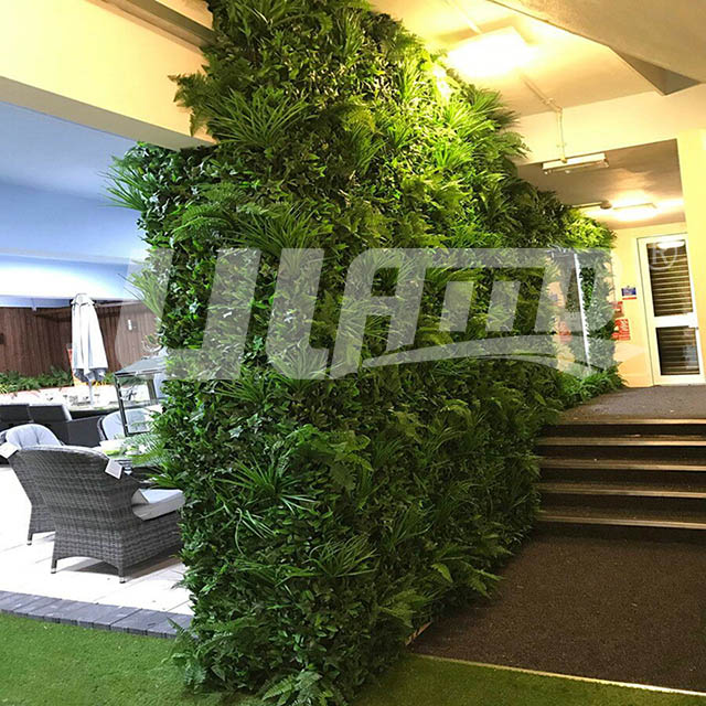 ����Gֲ���͉�