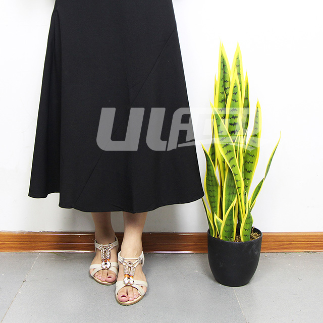 ����С���Խ�߅��β�m