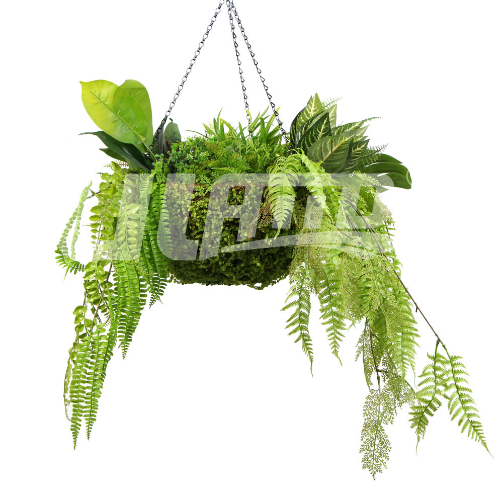 �����b��õ��@