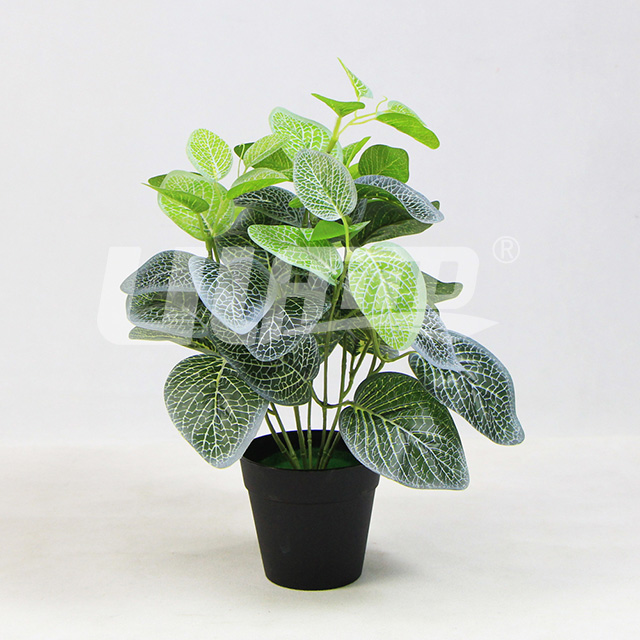 ����ֲ��С���԰׾W(w��ng)�y��