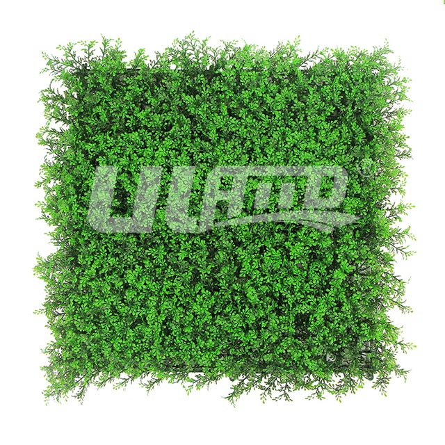 ���澰�^ֲ��