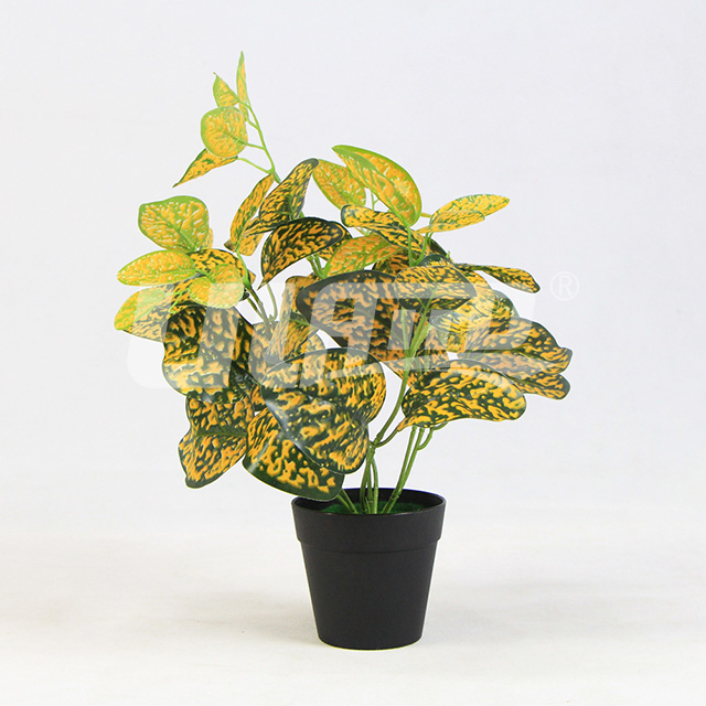 ����ֲ��С������t�}